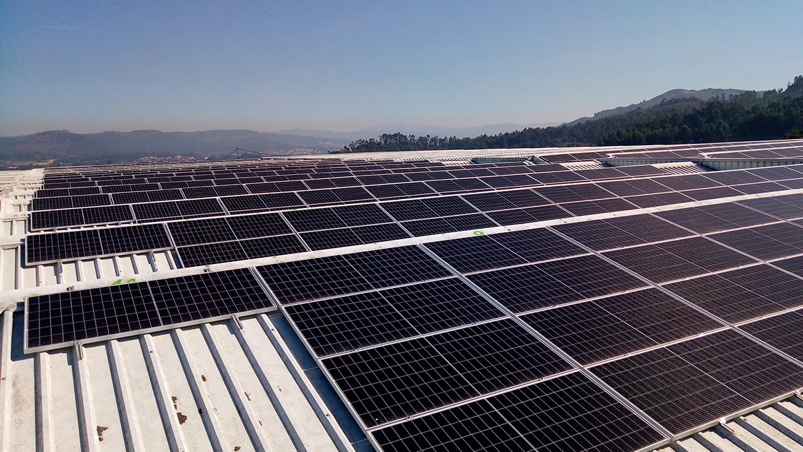 Niam Acquires Bright Sunday for Solar-as-a-Service expansion Image